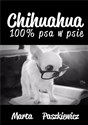 Chihuahua 100% psa w psie to buy in Canada
