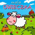 Mała owieczka - Beata Jaczewska