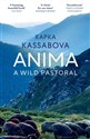 Anima wer. angielska - Polish Bookstore USA