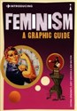 Introducing Feminism polish books in canada