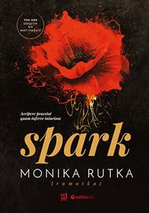 Spark Polish bookstore