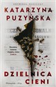 Dzielnica cieni DL chicago polish bookstore