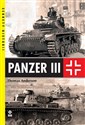 Panzer  in polish