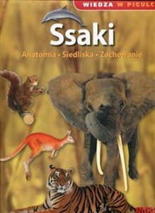 Wiedza w pigułce Ssaki Anatomia Siedliska Zachowanie to buy in USA
