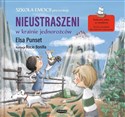 Nieustraszeni w Krainie Jednorożców - Elsa Punset buy polish books in Usa