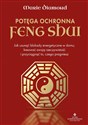 Potęga ochronna Feng Shui polish books in canada