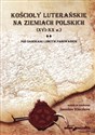 Kościoły luterańskie na ziemiach polskich XVI-XX w Tom 2 Pod zaborami i obcym panowaniem in polish