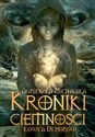 Kroniki ciemności Łowca demonów - Polish Bookstore USA