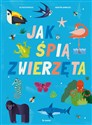 Jak śpią zwierzęta - Octavio Pintos, Martin Lannuzzi