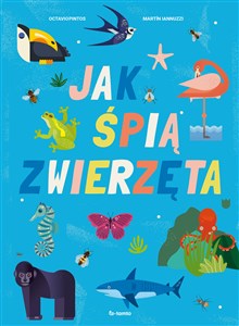 Jak śpią zwierzęta buy polish books in Usa