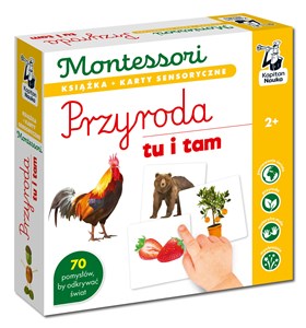 Montessori Przyroda tu i tam Karty sensoryczne z książeczką Kapitan Nauka  