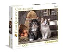 Puzzle Lovely Kittens 1000  - 