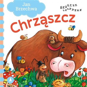 Chrząszcz buy polish books in Usa