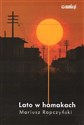 Lato w hamakach buy polish books in Usa