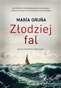 Złodziej fal Canada Bookstore
