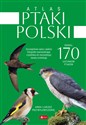 Atlas ptaków Polski pl online bookstore