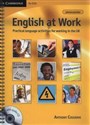 English at Work + CD online polish bookstore