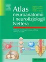 Atlas neuroanatomii i neurofizjologii Nettera polish usa