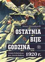 Ostatnia bije godzina… Armia Ochotnicza gen. Józefa Hallera 1920 r.  - Janusz Odziemkowski
