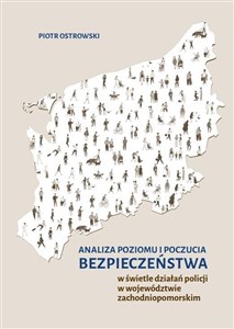 Analiza poziomu i poczucia bezpieczeństwa w świetle działań policji w województwie zachodniopomorskim in polish