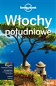 Włochy Południowe Lonely Planet in polish