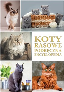 Koty rasowe Podręczna Encyklopedia  