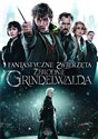 Fantastyczne zwierzęta. Zbrodnie Grindelwalda DVD polish books in canada