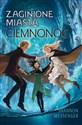 Ciemnonoc. Zaginione miasta. Tom 6 - Shannon Messenger