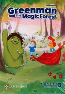 Greenman and the Magic Forest Level B Flashcards  to buy in USA