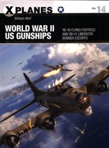World War II US Gunships YB-40 Flying Fortress and XB-41 Liberator Bomber Escorts in polish