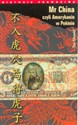 Mr China, czyli Amerykanin w Pekinie buy polish books in Usa