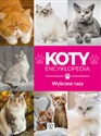 Koty wybrane rasy Encyklopedia books in polish