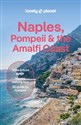 Naples, Pompeii & the Amalfi Coast Polish bookstore