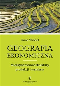 Geografia ekonomiczna Międzynarodowe struktury produkcji i wymiany polish books in canada