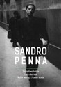 Szczęśliwa hańba Wybór wierszy / Lieto disonore Poesie scelte - Sandro Penna