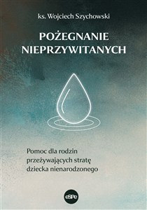 Pożegnanie nieprzywitanych Pomoc dla rodzin przeżywających stratę dziecka nienarodzonego 