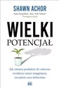 Wielki potencjał Jak zmiana podejścia do sukcesu zwiększa nasze osiągnięcia, szczęście oraz dobrostan  