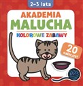 Akademia malucha Kolorowe zabawy 2-3 lata polish books in canada