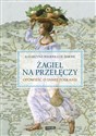 Żagiel na przełęczy Opowieść o innej Toskanii Polish bookstore