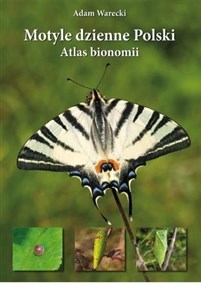 Motyle dzienne Polski. Atlas bionomii TW w.2021 polish books in canada