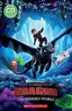 How to Train Your Dragon Reader Level 3 + CD to buy in Canada
