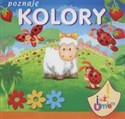 Poznaję kolory Już umiem - Urszula Kozłowska