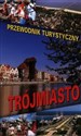 Trójmiasto buy polish books in Usa