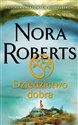 Dziedzictwo dobra  - Nora Roberts