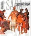 Saga Siedmiogrodzka czyli saga rodu Sebastiana Strack-Erös, wiernego poddanego węgierskiego majestatu króla Istvána Pier polish usa
