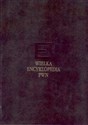 Wielka encyklopedia PWN Tom 11 in polish