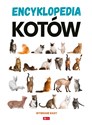 Encyklopedia kotów. Dobrze wiedzieć  - Opracowanie zbiorowe
