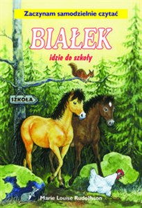 Białek idzie do szkoły Tom 13 polish books in canada