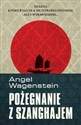 Pożegnanie z Szanghajem chicago polish bookstore