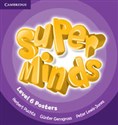Super Minds 6 Posters - Polish Bookstore USA